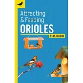 Attracting & Feeding Orioles