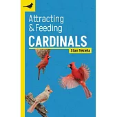 Attracting & Feeding Cardinals