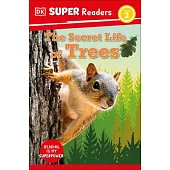 DK Super Readers Homes Around the World