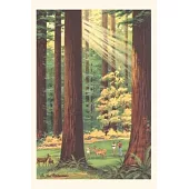 The Vintage Journal Redwoods Scene with People and Deer
