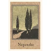 The Vintage Journal Cypresses, Nepenthe, California