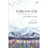 A Little More of Life: From within to around