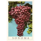 Vintage Journal Sonoma Grapes