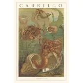 Vintage Journal Cabrillo, Hermit Crabs