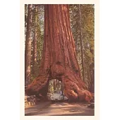 Vintage Journal Redwood and Volkswagen