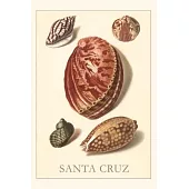 Vintage Journal Santa Cruz Shells