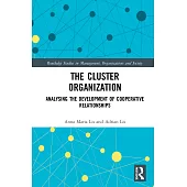 The Cluster Organization: Analyzing the Development of Cooperative Relationships