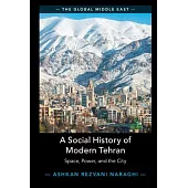 A Social History of Modern Tehran: Space, Power, and the City