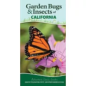 Garden Bugs & Insects of California: Identify Pollinators, Pests, and Other Garden Visitors