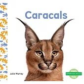 Caracals
