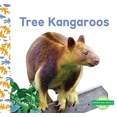 Tree Kangaroos