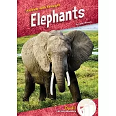 Elephants