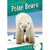 Polar Bears
