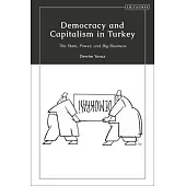 Democracy and Capitalism in Turkey: The State, Power, and Big Business