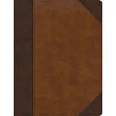 CSB Notetaking Bible, Large Print Edition, Brown/Tan Leathertouch