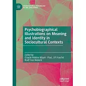Psychobiographical Illustrations on Meaning and Identity in Sociocultural Contexts