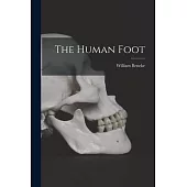 The Human Foot