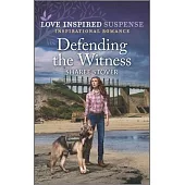Defending the Witness