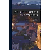 A Tour Through the Pyrenees