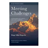 Meeting Challenges: Unshaken by Life’s Ups and Downs