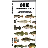 Ohio Freshwater Fishes: A Waterproof Folding Guide to Native and Introduced Species