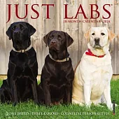 Just Labs 2024 7 X 7 Mini Wall Calendar