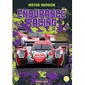 Endurance Racing