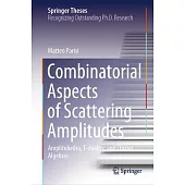 Combinatorial Aspects of Scattering Amplitudes: Amplituhedra, T-Duality, and Cluster Algebras