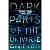 Dark Parts of the Universe