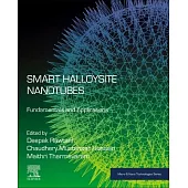 Smart Halloysite Nanotubes: Fundamentals and Applications