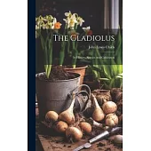 The Gladiolus: Its History, Species And Cultivation