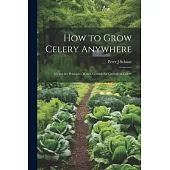 How to Grow Celery Anywhere: Giving the Principles Which Govern the Growth of Celery