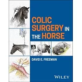 Colic Surgery in the Horse