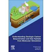 Understanding Geologic Carbon Sequestration and Gas Hydrate from Molecular Simulation