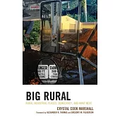 Big Rural: Rural Industrial Places, Democracy, and What Next