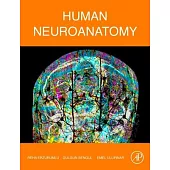 Human Neuroanatomy