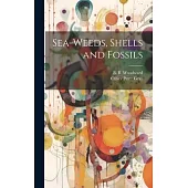 Sea-Weeds, Shells and Fossils