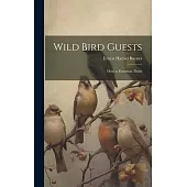 Wild Bird Guests: How to Entertain Them