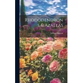 Rhododendrons & Azaleas