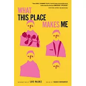 21st-Century American Plays on Immigration