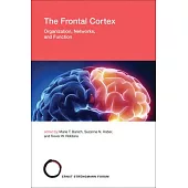 The Frontal Cortex: Organization, Networks, and Function