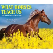 What Horses Teach Us 2025 6.2 X 5.4 Box Calendar