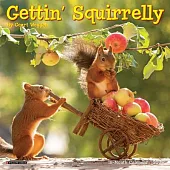 Gettin’ Squirrelly 2025 7 X 7 Mini Wall Calendar