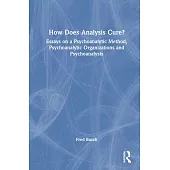 How Does Analysis Cure?: Essays on a Psychoanalytic Method, Psychoanalytic Organizations and Psychoanalysts