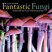 Fantastic Fungi Wall Calendar 2025: Inspired by the Louie Schwartzberg Film