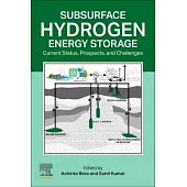 Subsurface Hydrogen Energy Storage: Current Status, Prospects, and Challenges