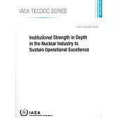 Institutional Strength in Depth in the Nuclear Industry to Sustain Operational Excellence