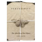 Serendipity: The Afterlife of the Object