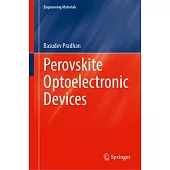 Perovskite Optoelectronic Devices