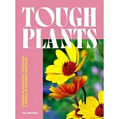 Tough Plants: Garden Gladiators That Pack a Punch in Extreme Weather